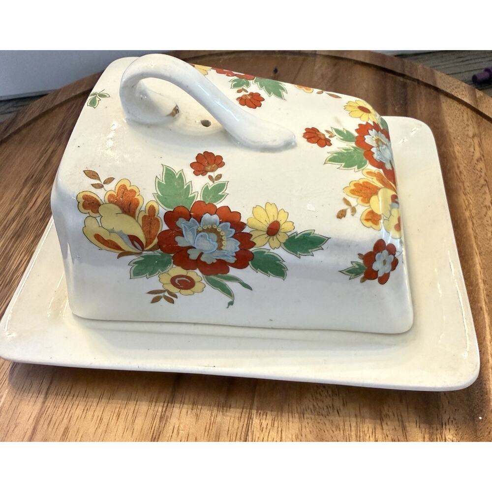 Vintage Rare Mid Century Gibsons England Slanted Cheese Butter Dish Floral 7”